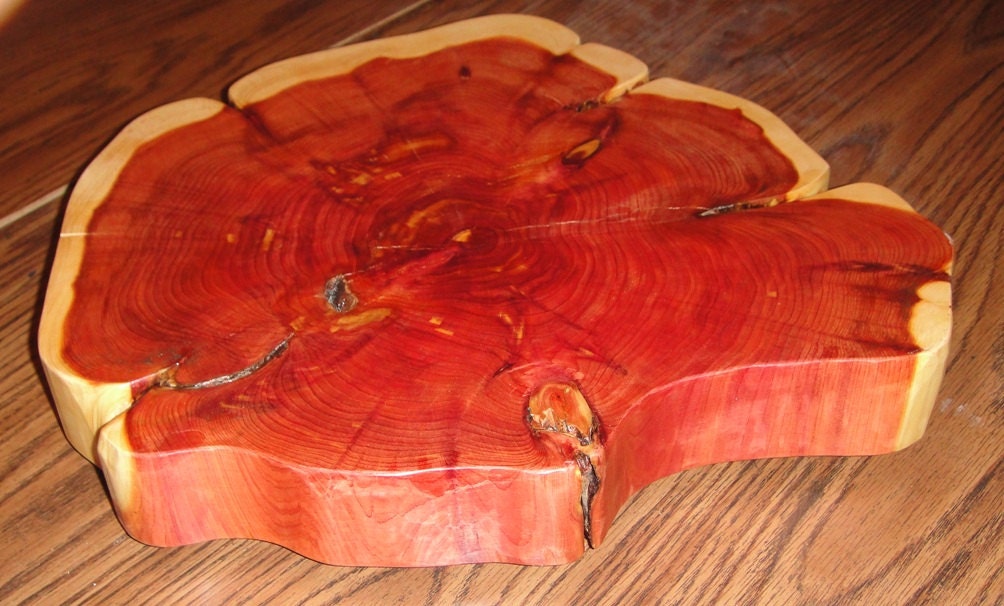 Finished 15 1/2 x 14 Inch Cedar Tree Functional Art or Cake Stand