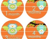 Onesie Owls in Orange Stickers 1 Month through 12 Months B19