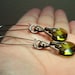 Olivine Swarovski Crystal Briolette Earrings in Silver
