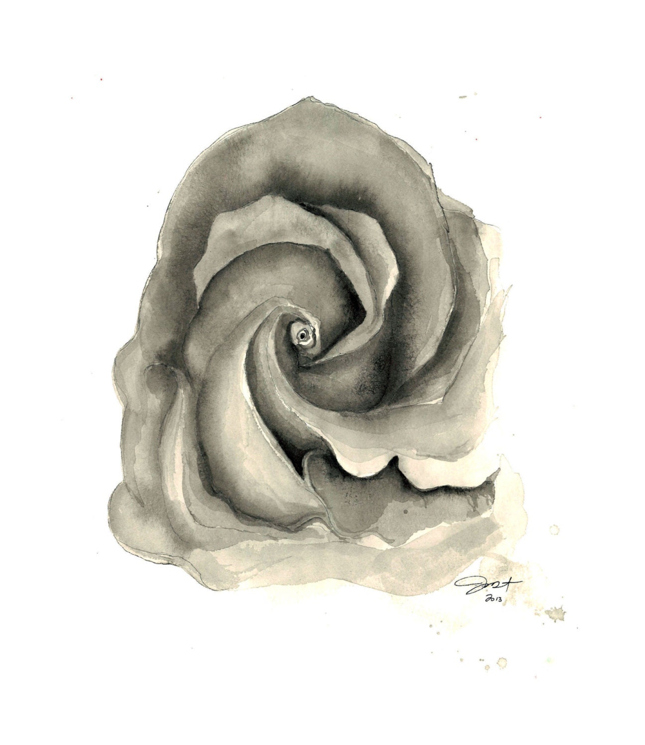 A New Life, original watercolor rose painting by Jessica Durrant
