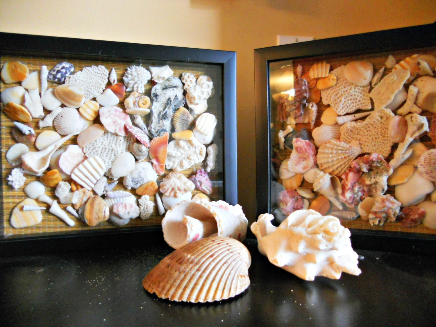 Sea shell shadow box,Shadow Box Set,l beach decor
