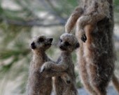 Needle Felted  Animals- Slender-Tailed  Meerkat-Suricate Mother Meerkat and babies.Needle felt by Daria lvovsky