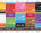 Kids Spanish & English Number and Color Chart Placemat
