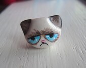 Grumpy Cat Polymer Clay Pin/Brooch