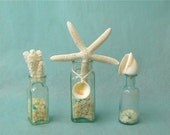 Beach Decor -  Vintage Aqua Bottles with Starfish, Shells and Coral
