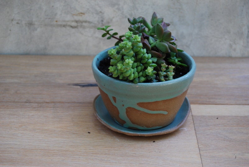 planter with dish in yellow