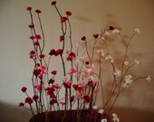 Blossom Branches - You Choose the Color