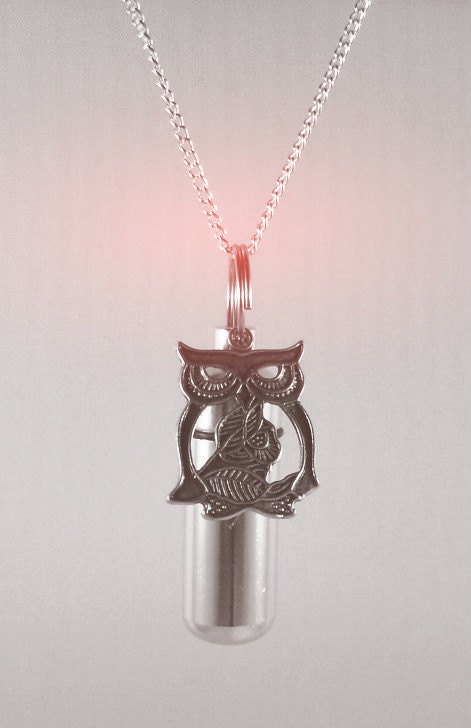 Large Wise Owl Urn & Vial on 24" Silvertone Curb Link Necklace   - Custom Hand Assembled.... with Velvet Pouch and Fill Kit