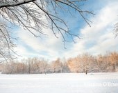Royal Snowfall 8x10 Fine Art Photographic Print