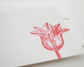 Striped Tulip Letterpress Stationery - Set of 6 Flat Notes