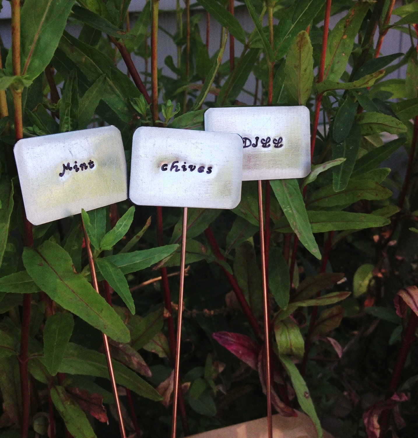 Plant Markers - 5 Personalized Herb Garden Signs - Gardening Gift Present - Custom Names - Up cycled Metal Eco Friendly