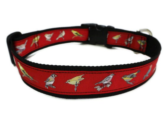 Backyard Birds Dog Collar
