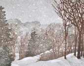 Snow No. 2 - Reduction Print - OOAK Original Handpulled Fine Art Print Limited Edition