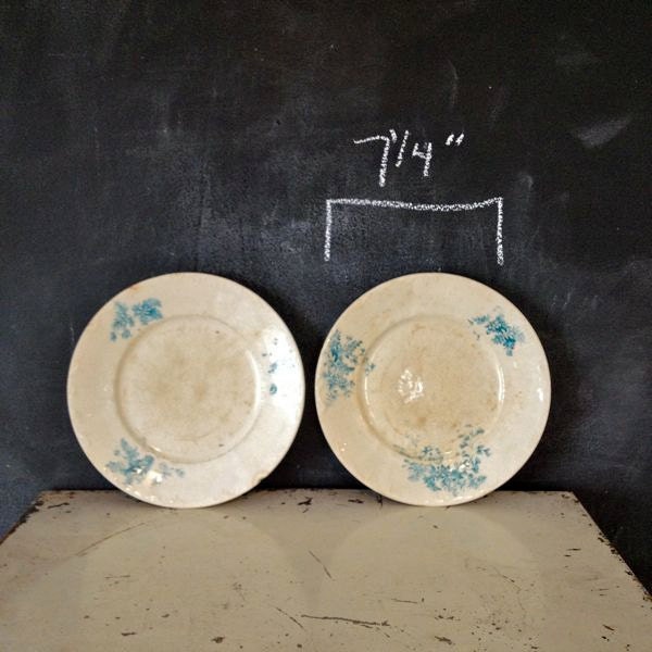 Pair of Blue Floral Transferware plates