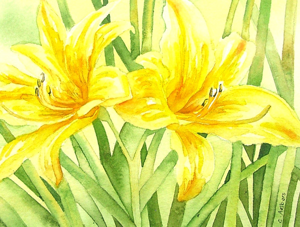 Art For Sale - Flower Painting Daylilies Original Watercolor