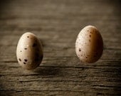 Earrings - Tiny Speckled Eggs - Dark Speckles - Vintage Plastic - Posts - limited pairs - READY TO SHIP