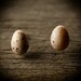 Earrings - Tiny Speckled Eggs - Dark Speckles - Vintage Plastic - Posts - limited pairs - READY TO SHIP