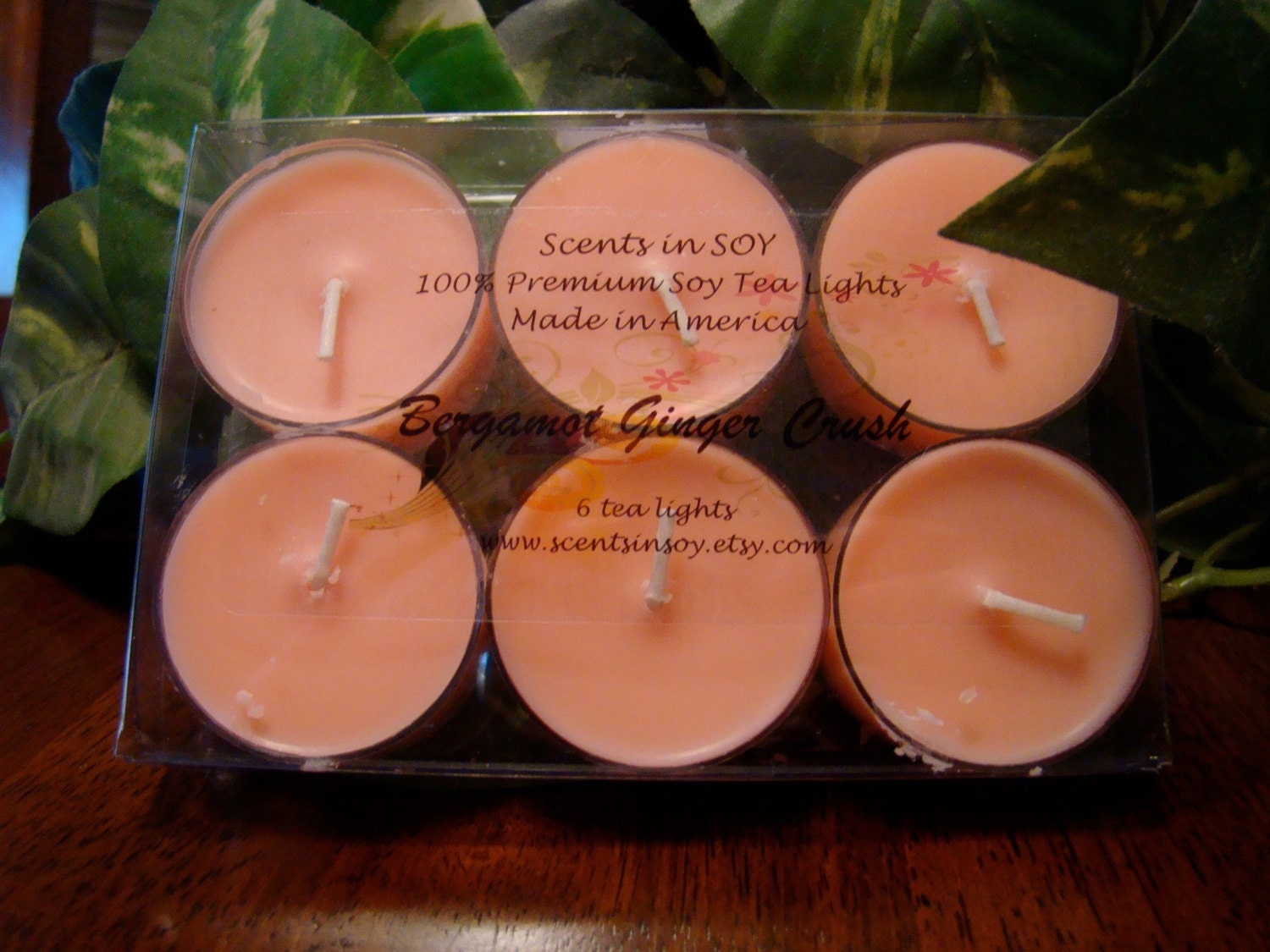 Highly Fragrant Premium SOY TEA LIGHTS - Bergamot Ginger Crush