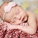 Pink striped chiffon headband, baby headband, adult headband, infant headband, child headband
