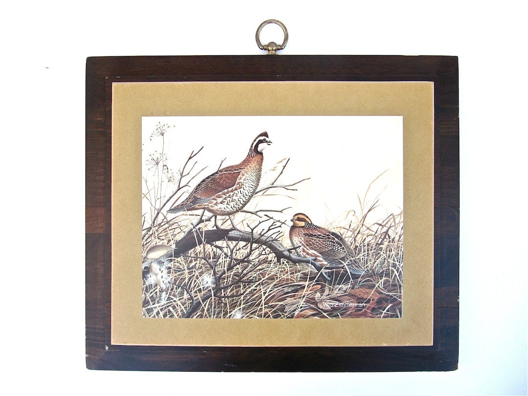 Wm Zimmerman Bobwhite Print on Wood