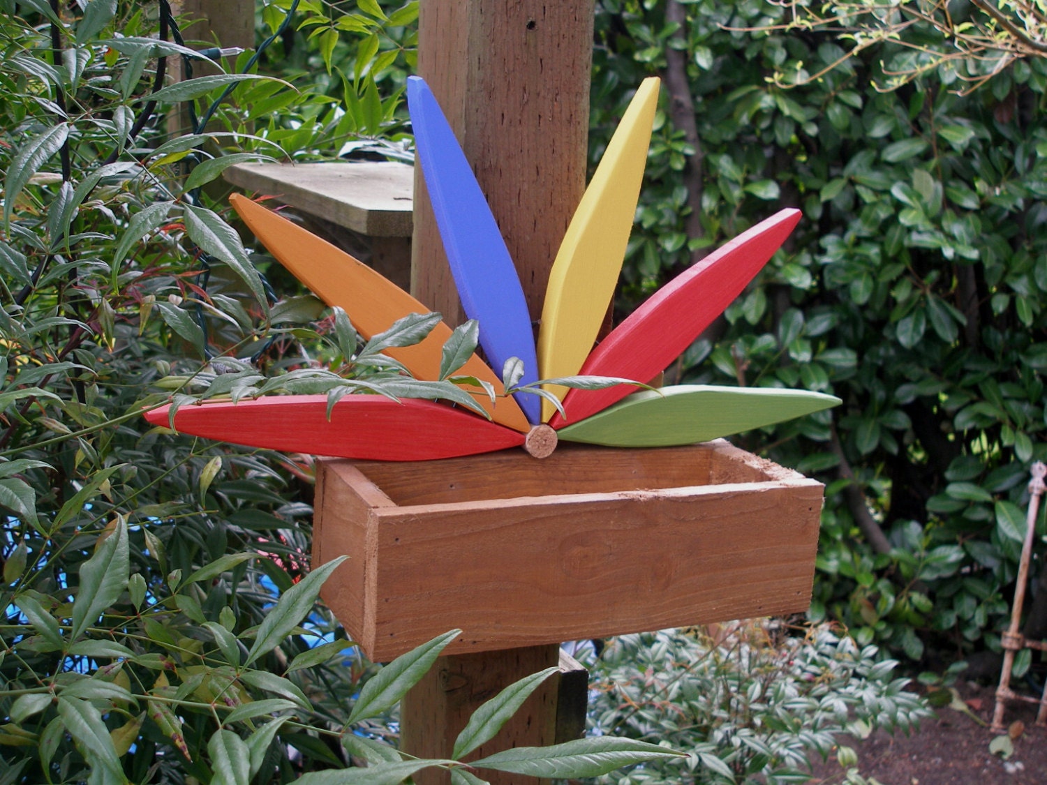 Brightly Colored Starburst Planter Box for small plants & flowers