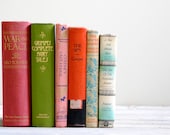 Vintage Classic Literature Book Set - LittleDogVintage