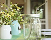 Mason Jar Straw Lid with Stainless Steel Straw - Standard Size