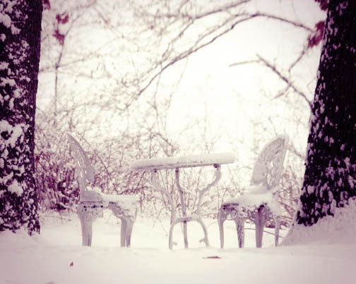 Winter Snow Still Life Photograph - country table and chairs pink trees white romantic lavender