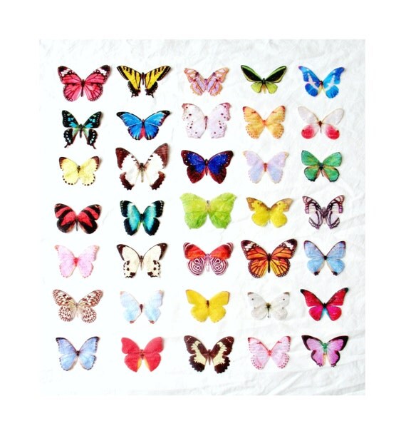 ONE handmade dupioni silk butterfly hair clip . the butterfly house . your choice