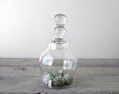Vintage Glass Cloche Bell Jar Dome