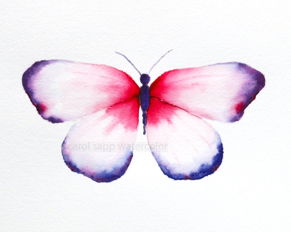 red and violet butterfly archival print of original 8" x 10" watercolor painting