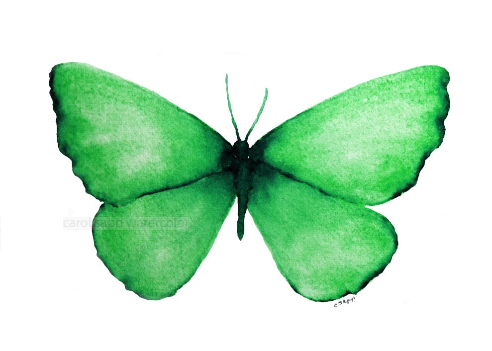 emerald green butterfly archival 5" x 7" print of watercolor painting