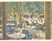 Vintage Florida Postcard - Indian Rocks - People Palm Gardens Garden Dining Room Indian Rocks Fruits near Largo