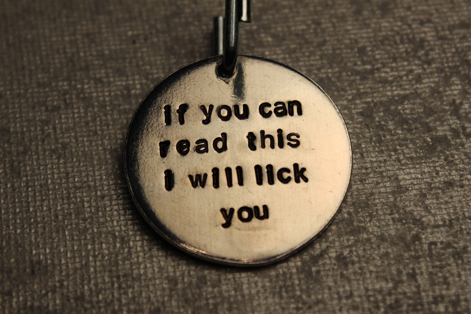 Pet ID Tag -  "If you can read this, I will lick you" (Pet's name & your phone on back) - 1-1/4"
