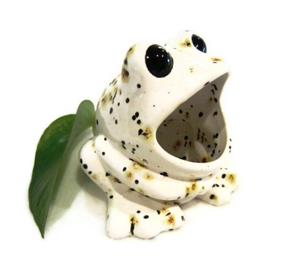 Sponge Holder - Ceramic Frog - White Brown Black