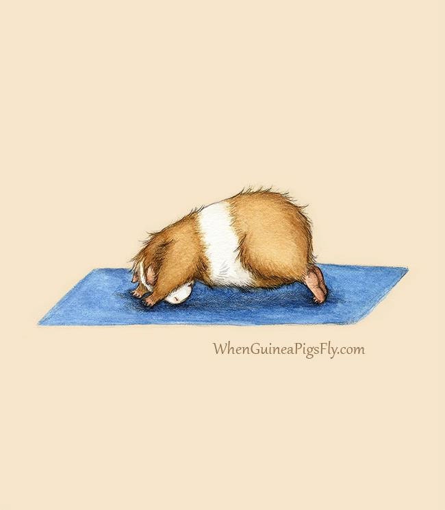 Downward Facing Dog - Guinea Pig Yoga Art Print 5x7