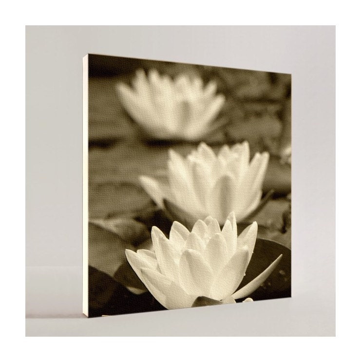 WATER LILIES - Canvas Art & Prints