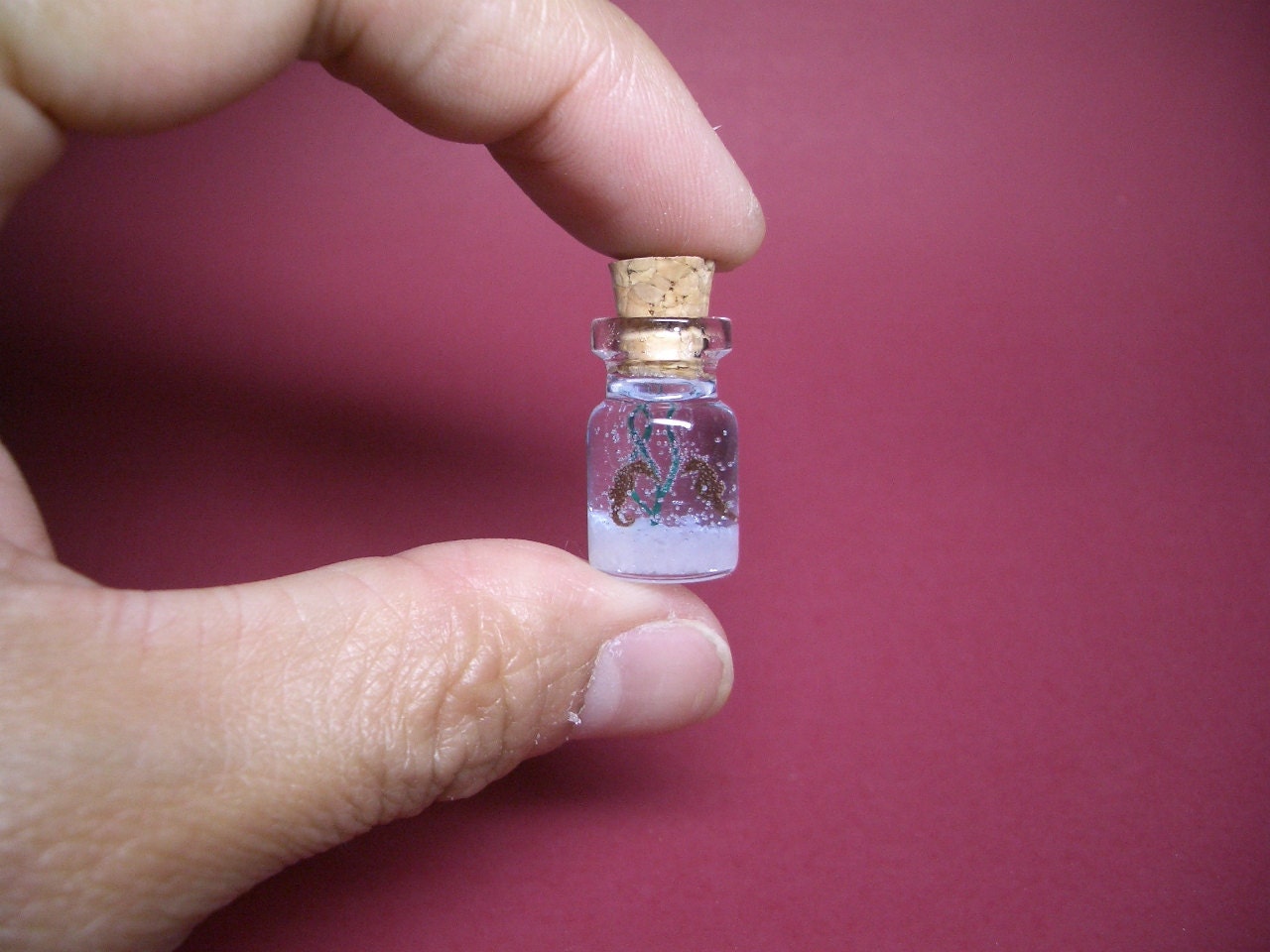 A couple of seahorse in a tiny bottle