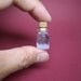 A couple of seahorse in a tiny bottle