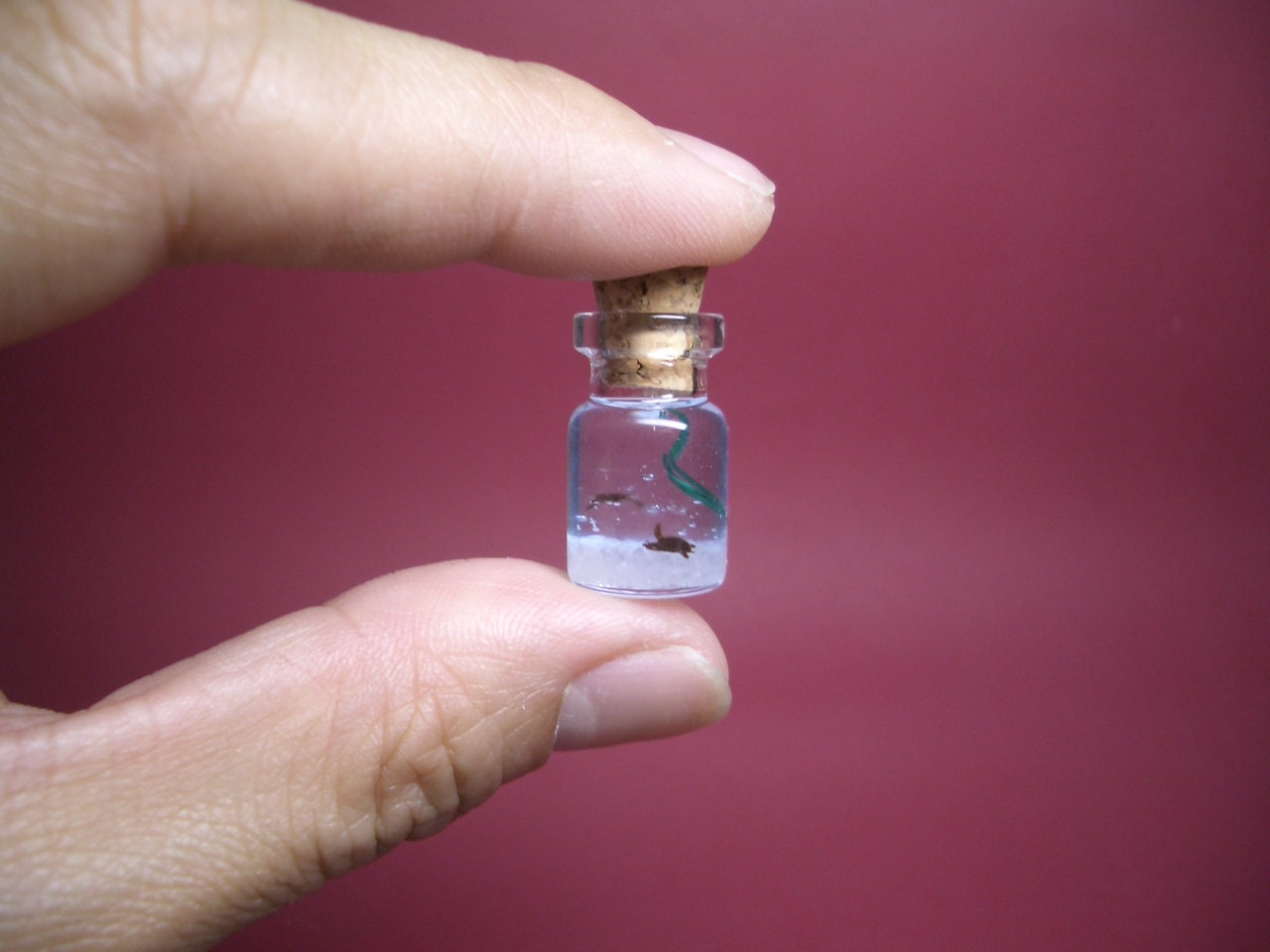 Two turtles are in a tiny bottle