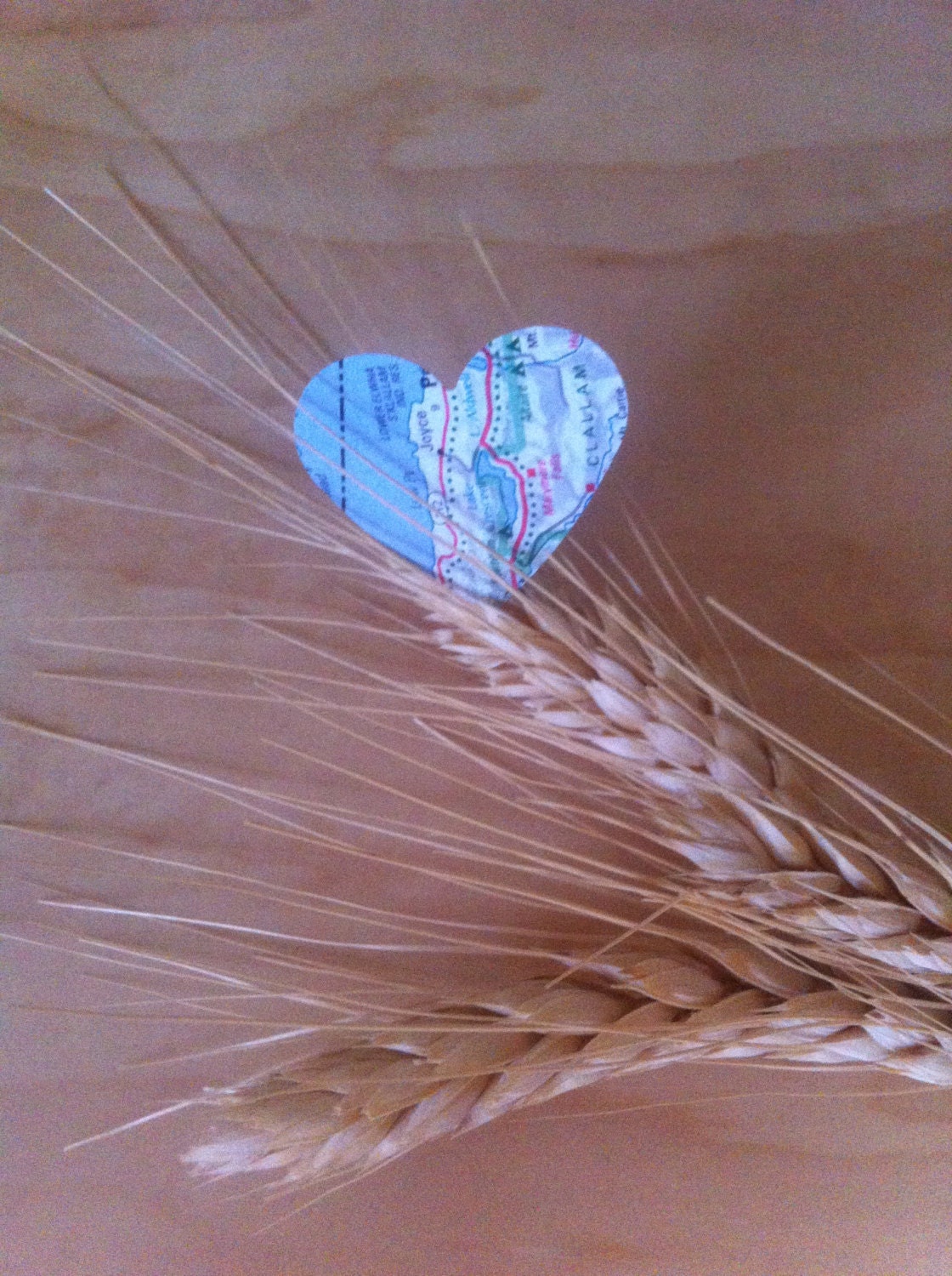100ct die cut map hearts