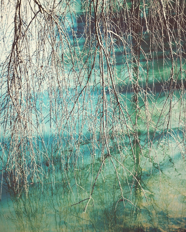 nature photography brown teal wall art bohemian decor surreal abstract tree print 8x10