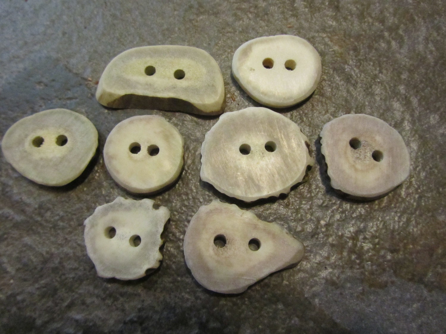 8 Deer Antler Buttons.