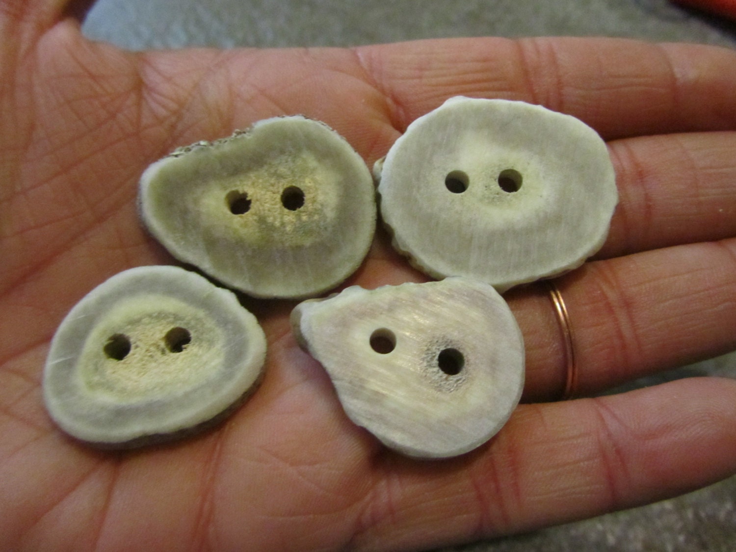 10 Deer Antler Buttons.
