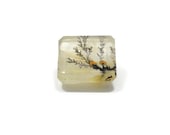 Genuine Dendritic Quartz 11x13x7mm Emerald cut 8.65ct