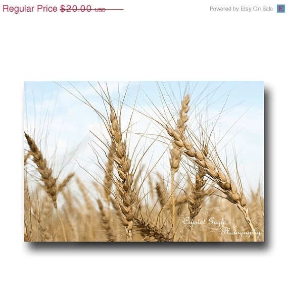 Wheat Field Photo Yellow Grass Fine Art Nature Photography farmer grain decor Man Cave Decor Print Unique Fathers Day Gift For Him