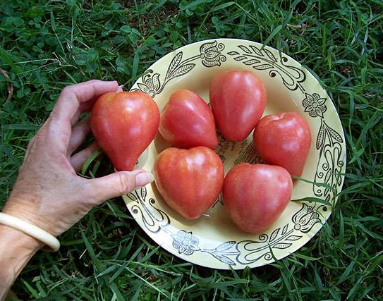German Red Strawberry Heirloom Tomato Seeds