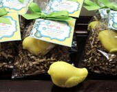 Set of 10 Tweet Bird Soap Party Favors  Baby Shower Bridal Shower Birthday Wedding Custom Party Favors Includes Customized Tags
