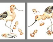 Beach house art, bird art prints, animal paintings, print set, beach decor, kids bathroom art, beach art, summer decor -  Avocet Beach Puffs