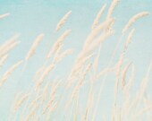 Landscape sky photography - fine art photography print - blue peaceful aqua turquoise beach photo - Touch the sky